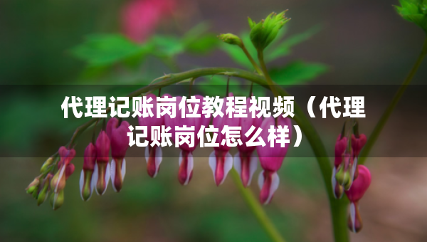 代理記賬崗位教程視頻（代理記賬崗位怎么樣）