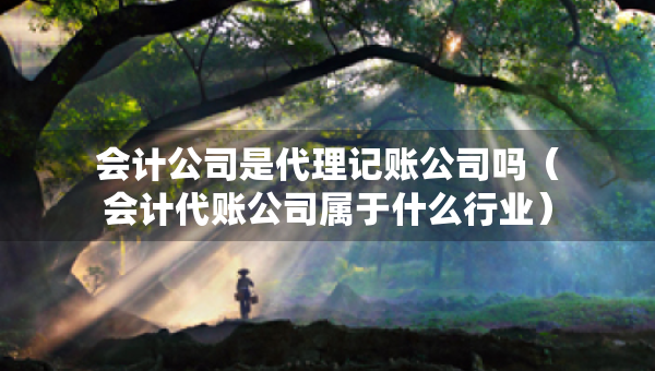 會計公司是代理記賬公司嗎（會計代賬公司屬于什么行業(yè)）