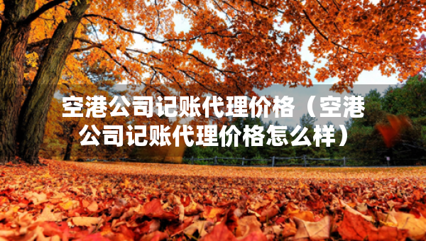 空港公司記賬代理價格（空港公司記賬代理價格怎么樣）