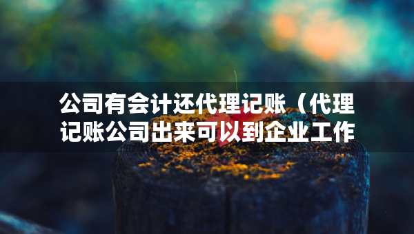 公司有會(huì)計(jì)還代理記賬（代理記賬公司出來可以到企業(yè)工作嗎）