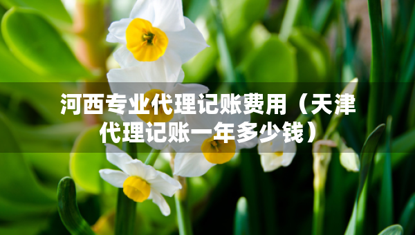 河西專業(yè)代理記賬費用(天津代理記賬一年多少錢) 河西專業(yè)代理記賬費用(天津代理記賬一年多少錢)