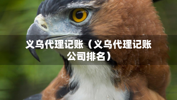 義烏代理記賬（義烏代理記賬公司排名）