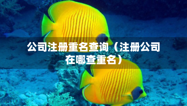 公司注冊重名查詢（注冊公司在哪查重名）