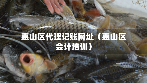 惠山區(qū)代理記賬網(wǎng)址（惠山區(qū)會計培訓(xùn)）