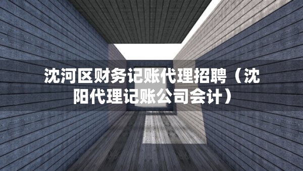 沈河區(qū)財(cái)務(wù)記賬代理招聘（沈陽(yáng)代理記賬公司會(huì)計(jì)）
