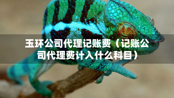 玉環(huán)公司代理記賬費（記賬公司代理費計入什么科目）