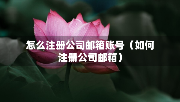 怎么注冊(cè)公司郵箱賬號(hào)（如何注冊(cè)公司郵箱）