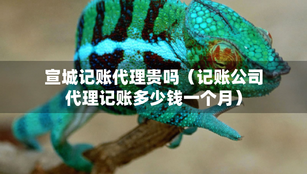 宣城記賬代理貴嗎(記賬公司代理記賬多少錢一個(gè)月) 宣城記賬代理貴嗎(記賬公司代理記賬多少錢一個(gè)月)
