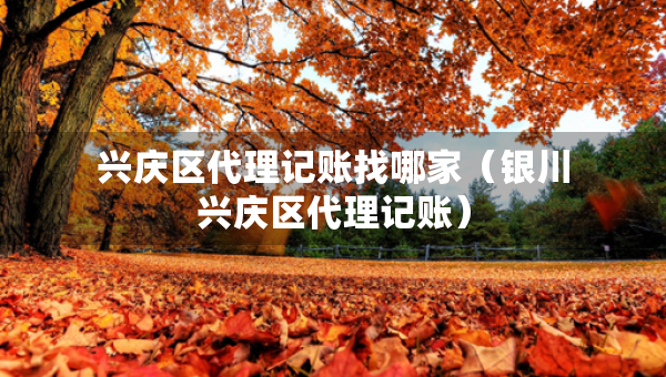 興慶區(qū)代理記賬找哪家(銀川興慶區(qū)代理記賬) 興慶區(qū)代理記賬找哪家(銀川興慶區(qū)代理記賬)