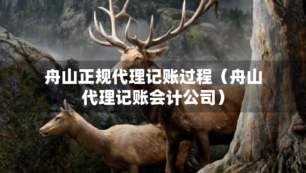 舟山正規(guī)代理記賬過(guò)程（舟山代理記賬會(huì)計(jì)公司）