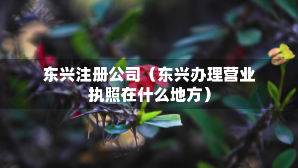 東興注冊公司（東興辦理營業(yè)執(zhí)照在什么地方）