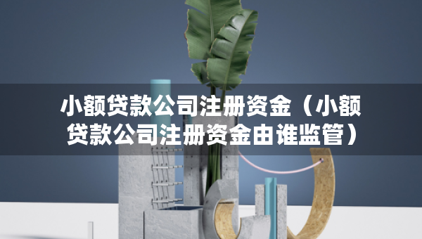 小額貸款公司注冊(cè)資金（小額貸款公司注冊(cè)資金由誰(shuí)監(jiān)管）