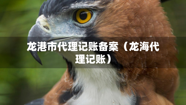 龍港市代理記賬備案（龍海代理記賬）