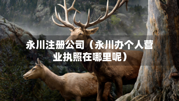 永川注冊公司（永川辦個人營業(yè)執(zhí)照在哪里呢）