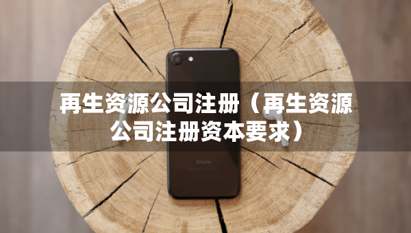 再生資源公司注冊（再生資源公司注冊資本要求）