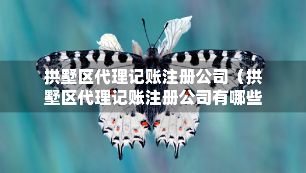 拱墅區(qū)代理記賬注冊(cè)公司（拱墅區(qū)代理記賬注冊(cè)公司有哪些）