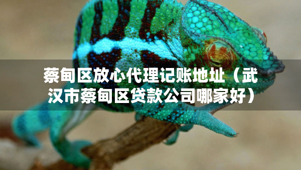 蔡甸區(qū)放心代理記賬地址（武漢市蔡甸區(qū)貸款公司哪家好）