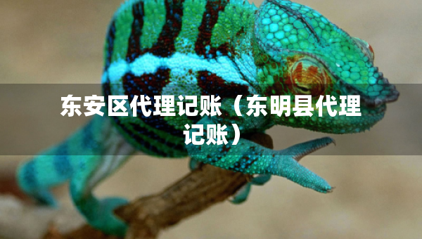東安區(qū)代理記賬（東明縣代理記賬）