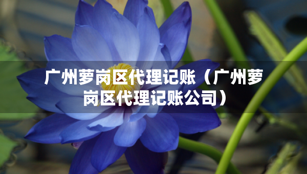 廣州蘿崗區(qū)代理記賬（廣州蘿崗區(qū)代理記賬公司）
