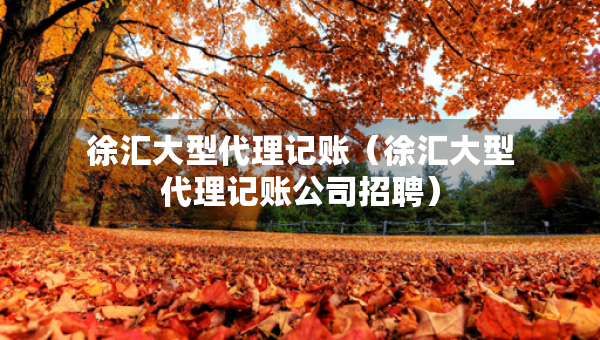 徐匯大型代理記賬（徐匯大型代理記賬公司招聘）