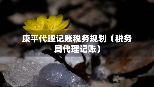 康平代理記賬稅務(wù)規(guī)劃（稅務(wù)局代理記賬）