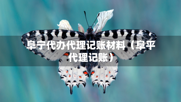 阜寧代辦代理記賬材料（阜平代理記賬）