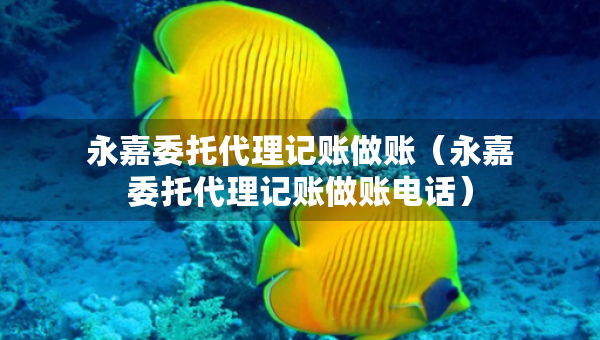 永嘉委托代理記賬做賬（永嘉委托代理記賬做賬電話）
