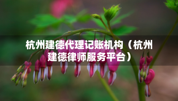 杭州建德代理記賬機(jī)構(gòu)（杭州建德律師服務(wù)平臺(tái)）