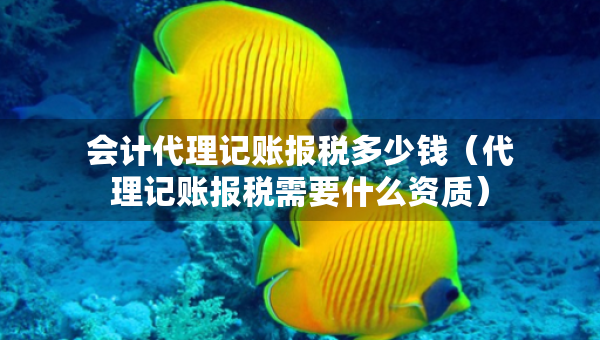 會計代理記賬報稅多少錢（代理記賬報稅需要什么資質(zhì)）