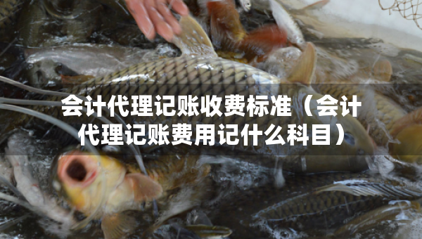 會計代理記賬收費標準（會計代理記賬費用記什么科目）