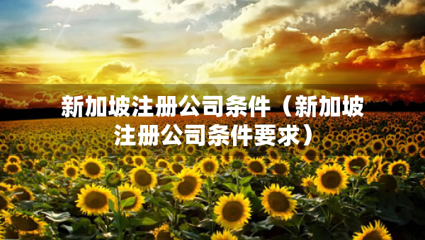 新加坡注冊公司條件（新加坡注冊公司條件要求）