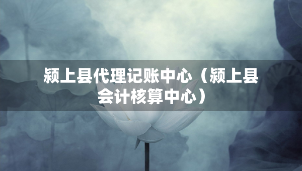 潁上縣代理記賬中心（潁上縣會計核算中心）