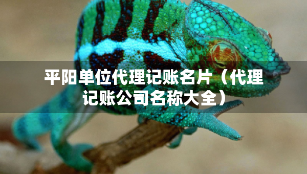 平陽單位代理記賬名片（代理記賬公司名稱大全）