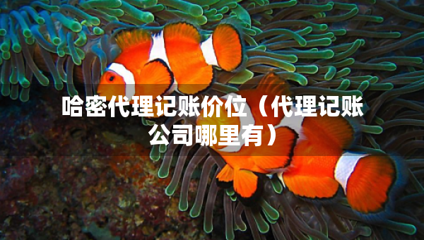 哈密代理記賬價(jià)位（代理記賬公司哪里有）