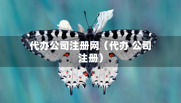 代辦公司注冊網（代辦 公司注冊）