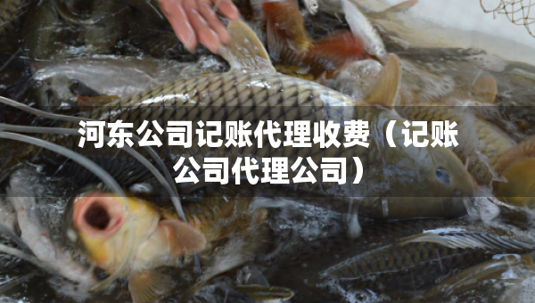 河?xùn)|公司記賬代理收費(fèi)(記賬公司代理公司) 河?xùn)|公司記賬代理收費(fèi)(記賬公司代理公司)