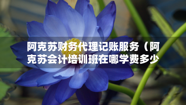 阿克蘇財務代理記賬服務(阿克蘇會計培訓班在哪學費多少) 阿克蘇財務代理記賬服務(阿克蘇會計培訓班在哪學費多少)