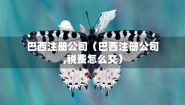 巴西注冊公司(巴西注冊公司,稅費怎么交) 巴西注冊公司(巴西注冊公司,稅費怎么交)