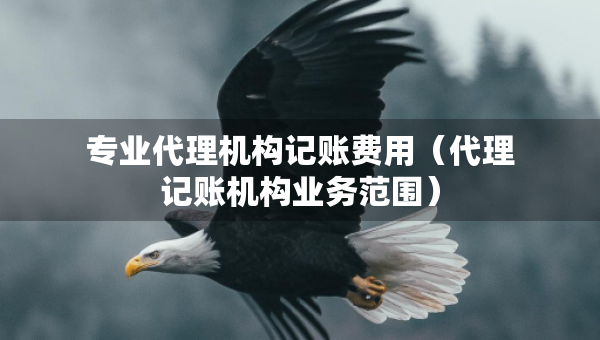 專業(yè)代理機構(gòu)記賬費用（代理記賬機構(gòu)業(yè)務(wù)范圍）
