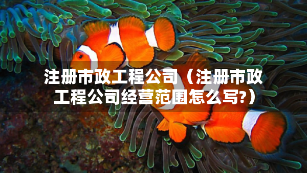 注冊市政工程公司(注冊市政工程公司經(jīng)營范圍怎么寫?) 注冊市政工程公司(注冊市政工程公司經(jīng)營范圍怎么寫?)