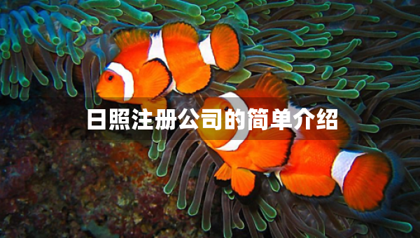 日照注冊公司的簡單介紹