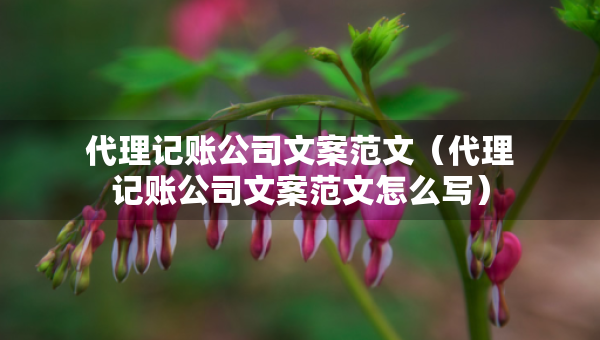 代理記賬公司文案范文（代理記賬公司文案范文怎么寫(xiě)）