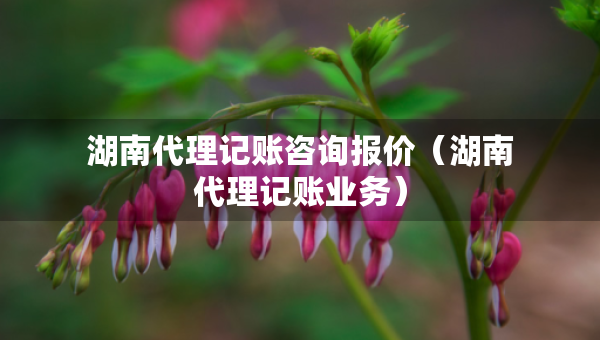 湖南代理記賬咨詢報(bào)價(jià)（湖南代理記賬業(yè)務(wù)）