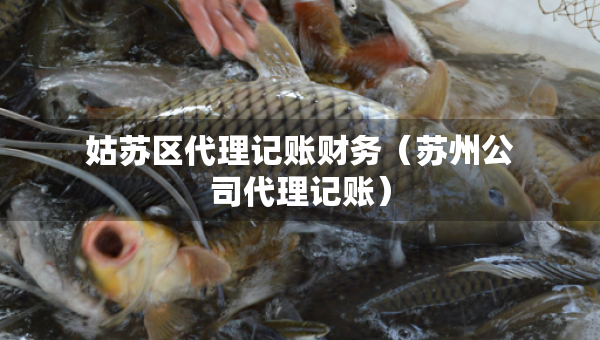 姑蘇區(qū)代理記賬財務（蘇州公司代理記賬）