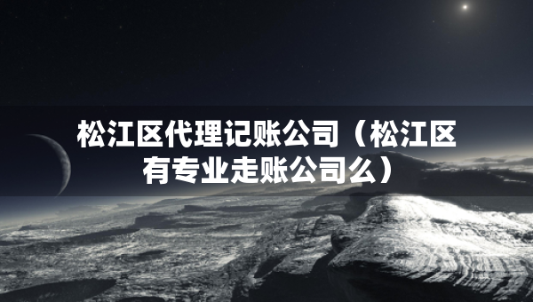 松江區(qū)代理記賬公司（松江區(qū)有專業(yè)走賬公司么）