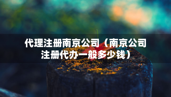 代理注冊南京公司（南京公司注冊代辦一般多少錢）