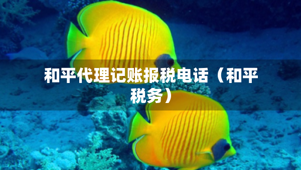 和平代理記賬報(bào)稅電話（和平稅務(wù)）