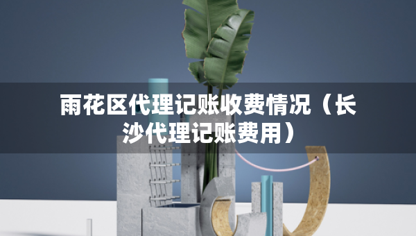 雨花區(qū)代理記賬收費(fèi)情況（長(zhǎng)沙代理記賬費(fèi)用）