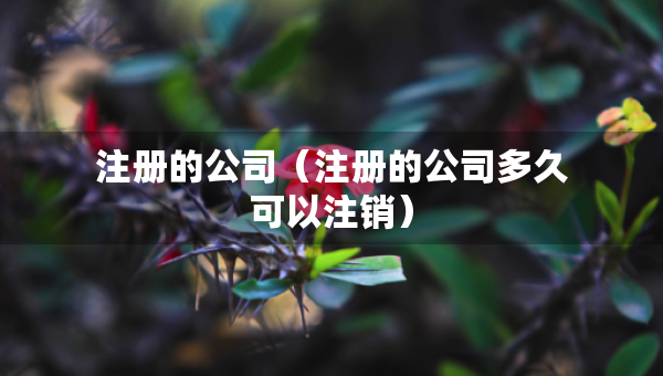注冊的公司（注冊的公司多久可以注銷）