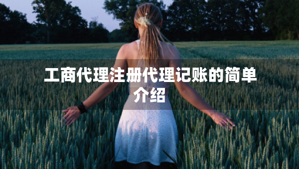 工商代理注冊(cè)代理記賬的簡(jiǎn)單介紹
